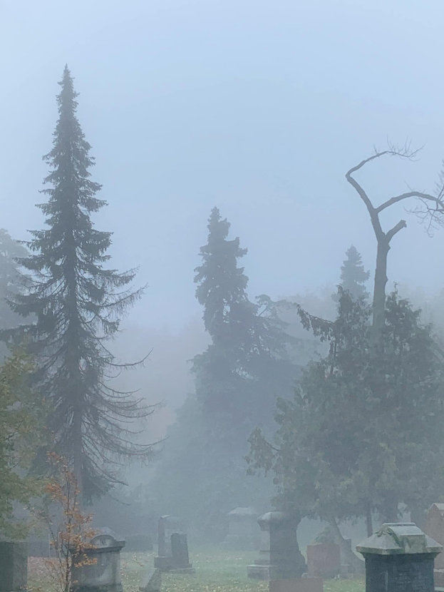 Nebliger Friedhof mit verstreuten Grabsteinen und Bäumen im Hintergrund unter einem nebligen grauen Himmel.