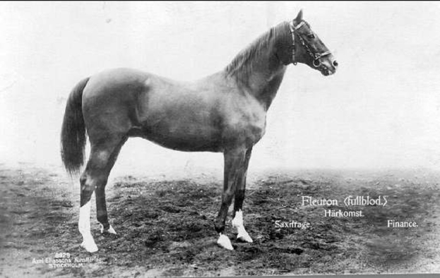 Schwarzes und weißes Foto eines Pferdes, das aufmerksam im Dreck steht, mit seiner Mähne und seinem Schweif im Wind wehend.