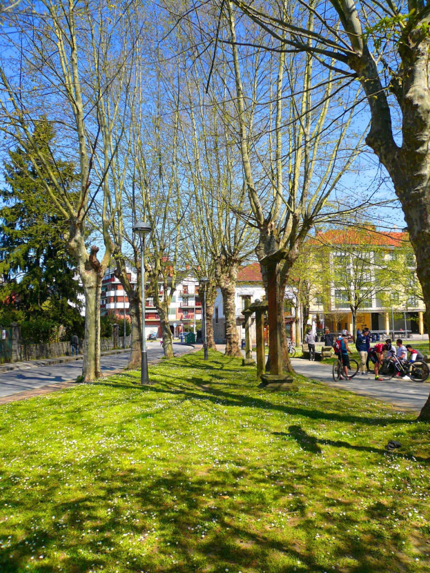 Ein Park mit grünem Gras, Bäumen, Menschen, die zu Fuß gehen und Fahrrad fahren, und Gebäuden im Hintergrund unter einem klaren blauen Himmel.