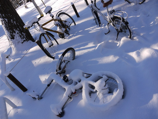 Eine dichte Ansammlung von Fahrrädern, teilweise im Schnee vergraben, mit einem Baumstamm und einer Straße daneben.
