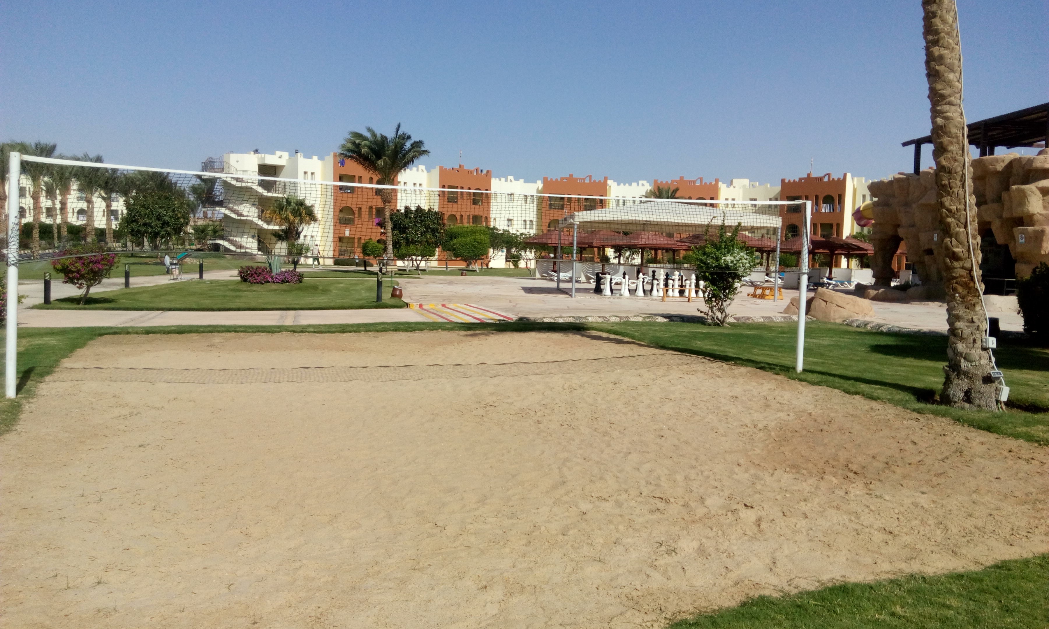 Ein Sandvolleyballplatz mit einem Netz in der Mitte, umgeben von grünem Gras, Bäumen und Pflanzen, mit Gebäuden und einem klaren blauen Himmel im Hintergrund.