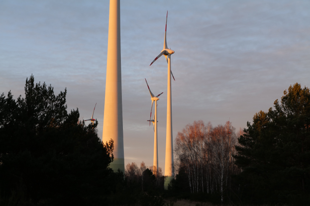 Eine Gruppe von Windkraftanlagen in einem Feld bei Sonnenuntergang mit Bäumen im Vordergrund und einem bewölkten Himmel im Hintergrund.