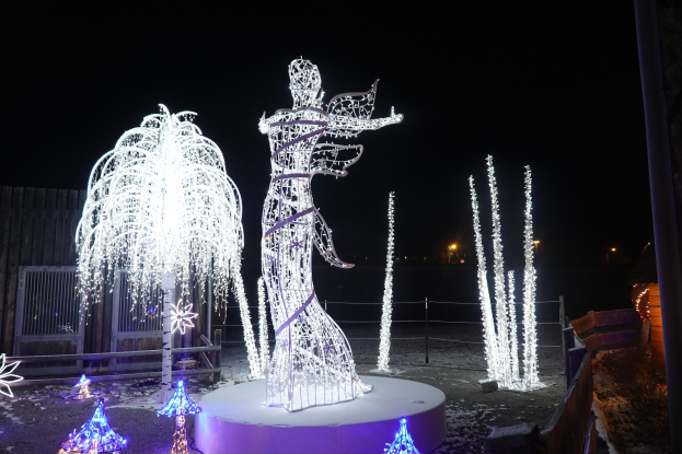 Weihnachtsbeleuchtung in einer skulpurartigen Formation in einem Park bei Nacht angeordnet.