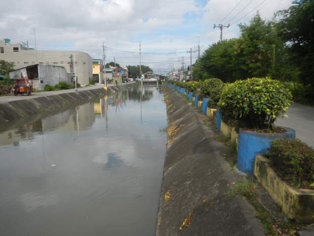 Überflutete Straßen in der Stadt mit Wasser auf der Straße, Vegetation auf der rechten Seite, Fahrzeuge auf der linken Seite, Gebäude und Strommasten im Hintergrund und bewölkter Himmel oben.