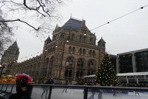 Menschen beim Eislaufen auf einer Eisbahn vor dem Naturkundemuseum in London mit einem geschmückten Weihnachtsbaum und einer Person mit einem Schirm.