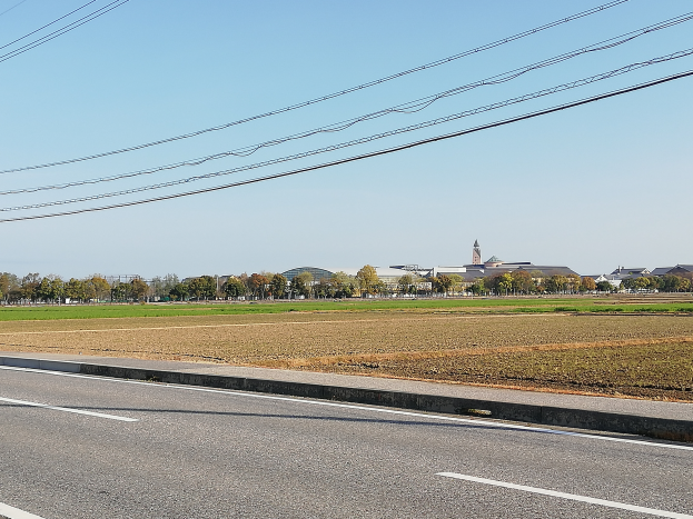 Eine Straße mit Stromleitungen, die daran entlangführt, umgeben von Feldern und Bäumen, mit Gebäuden im Hintergrund und einem klaren blauen Himmel darüber.