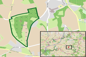 Neuer Busbetriebsstandort, Kfz-Zulassungs- und Führerscheinstelle: Umzug von der Rheinstraße-Industriezone