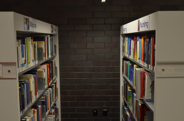 Eine gut organisierte Bibliothek mit hohen Backsteinwänden, gefüllt mit ordentlich angeordneten Büchern auf Regalen, beleuchtet von einer Lampe oben.