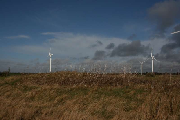 Ein Windradfeld auf einer grünen Wiese mit Bäumen und Wolken im Hintergrund, als Windpark in den Niederlanden gekennzeichnet.