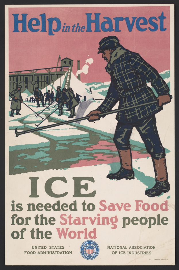 Plakat mit einer Person in einem weißen Hemd und blauen Jeans mit einem entschlossenen Gesichtsausdruck, die in einem verschneiten Feld unter einem hellblauen Himmel steht, umgeben von fettem schwarzem Text, der "Hilfe bei der Ernte - Eis wird benötigt, um Lebensmittel für die hungernden Menschen der Welt zu retten" liest.