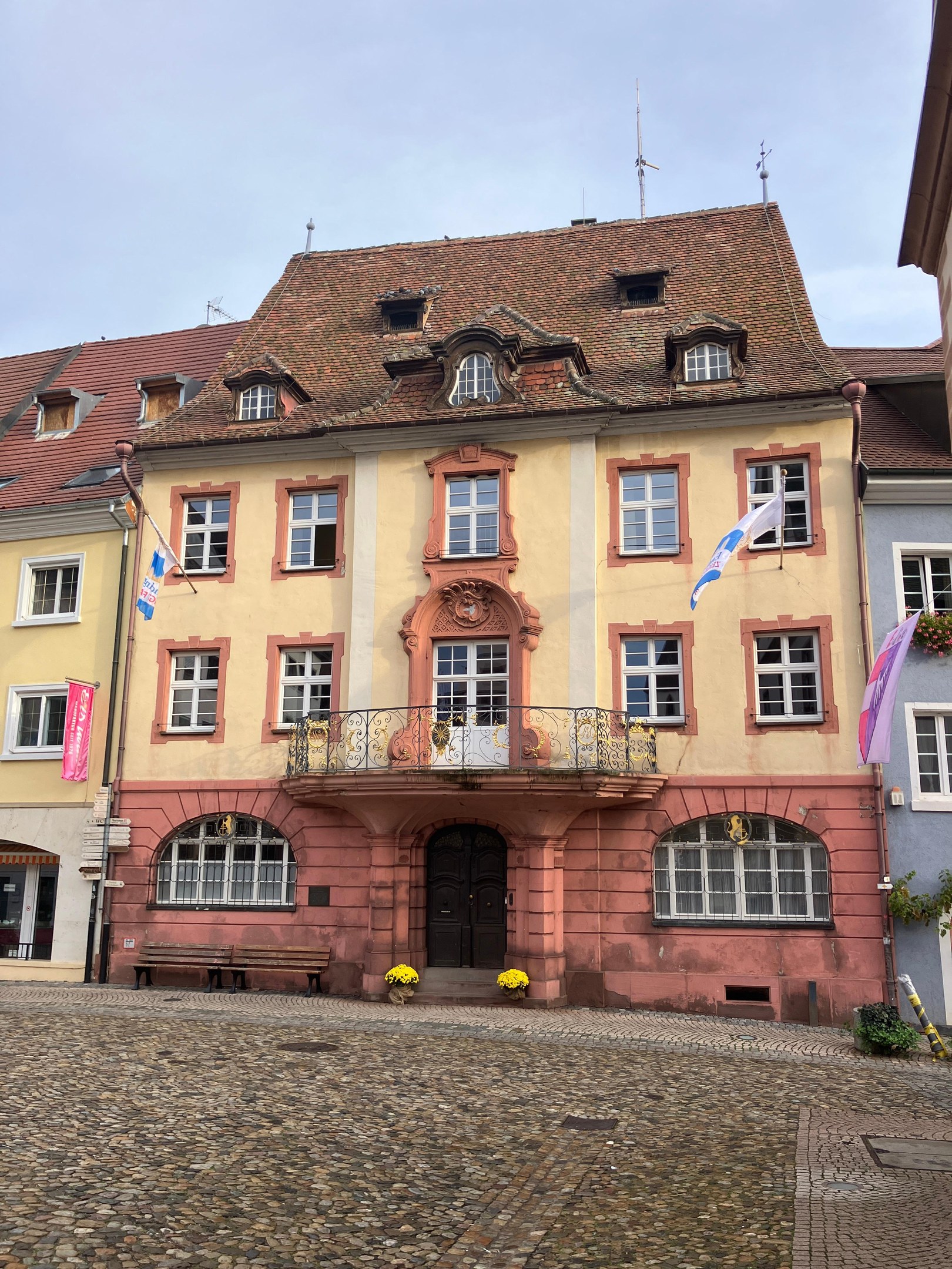Eine Kopfsteinpflasterstraße in Heidelbergs Altstadt mit farbenfrohen Gebäuden, die Fenster, Türen, Geländer und Fahnen zeigen, mit Pflanzen und einer Bank im Vordergrund unter einem klaren blauen Himmel.