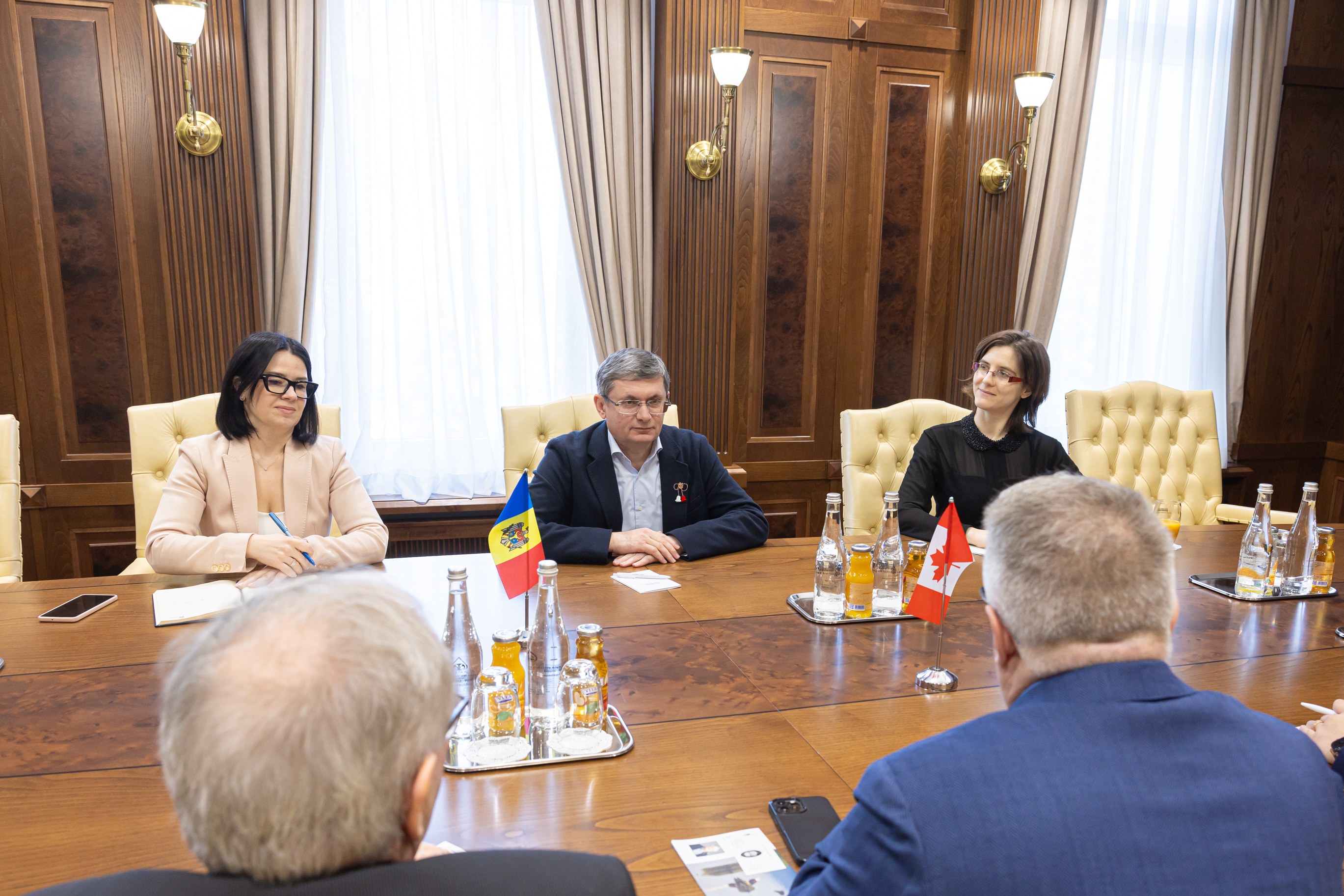 Eine Gruppe von Menschen in einer formellen Umgebung, die um einen hölzernen Tisch sitzen und EU-relevante Gegenstände diskutieren.