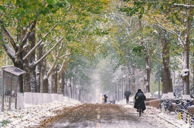 Menschen gehen auf einer verschneiten Straße mit Regenschirmen, umgeben von schneebedeckten Bäumen, mit parkenden Fahrrädern auf der rechten Seite und einem Unterschlupf auf der linken Seite.